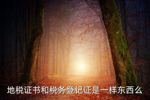 地稅登記證是什么，地方稅納稅資料封面上稅務(wù)登記證號(hào)是甚么