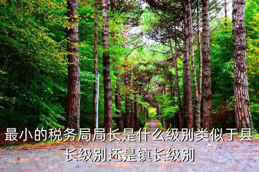 省國稅局長是什么級(jí)別，地級(jí)市的國稅局局長是什么干部