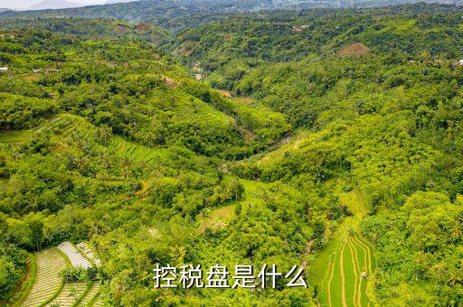 控稅盤(pán)是什么
