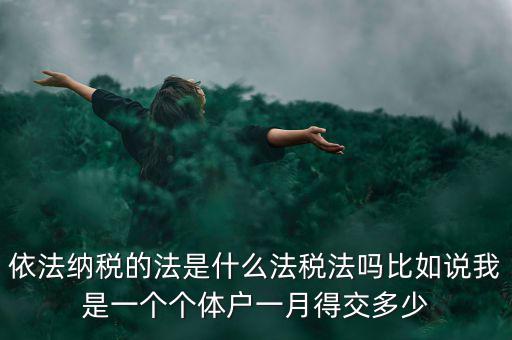 什么是依法納稅人，依法納稅的法是什么法稅法嗎比如說(shuō)我是一個(gè)個(gè)體戶(hù)一月得交多少