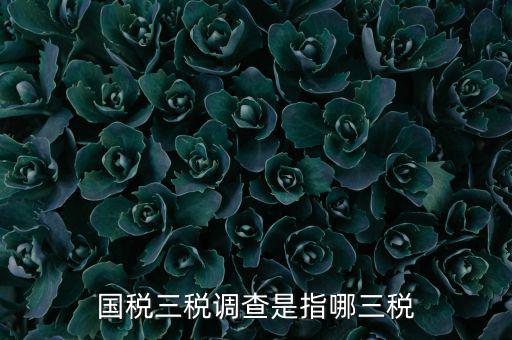 全國(guó)稅收調(diào)查是什么，全國(guó)稅收調(diào)查表中審核公式IFXXBB8 1 XXBB8 4