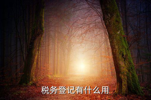有稅務(wù)登記有什么好，稅務(wù)登記有什么用