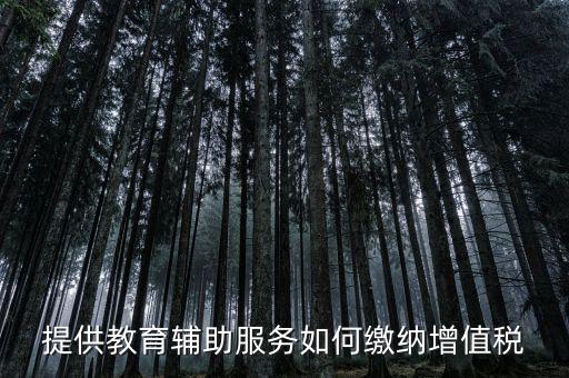 教育輔助服務(wù)包括什么，教育咨詢(xún)服務(wù)包括代理招生嗎