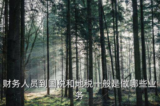國(guó)稅地稅有什么工作，地稅工作人員有哪些職務(wù)