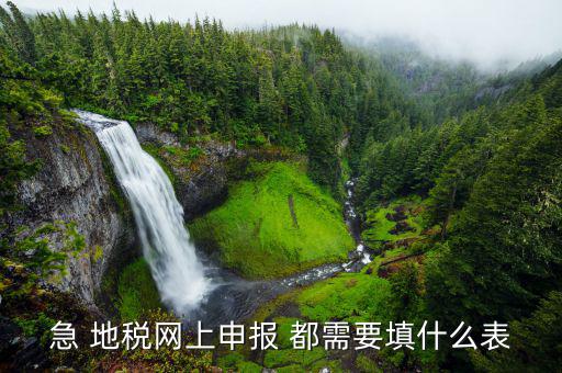 稅務(wù)申報(bào)表用什么填置，怎么填寫(xiě)稅務(wù)申請(qǐng)表
