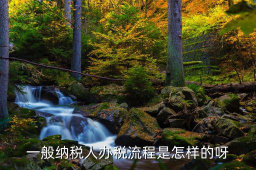 什么是正常辦稅，一般納稅人辦稅流程是怎樣的呀