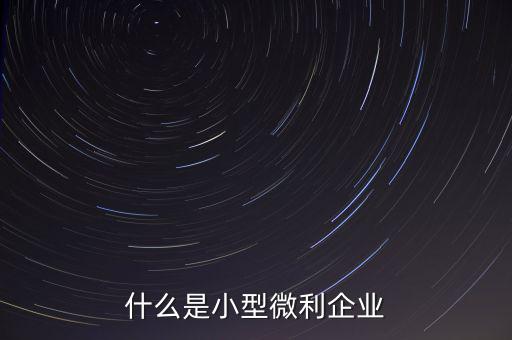 什么是小型微利，什么是小型微利企業(yè)收入從業(yè)人員其它條件