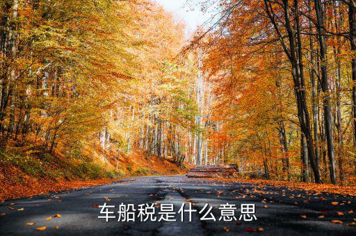 車船稅干什么用的，車船稅具體有些什么用處呢