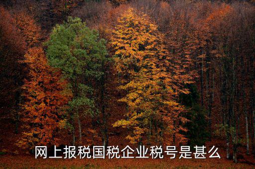 國(guó)稅稅務(wù)號(hào)是什么，國(guó)稅納稅號(hào)碼 是不是就是稅務(wù)通知書上那個(gè)納稅人識(shí)別號(hào)
