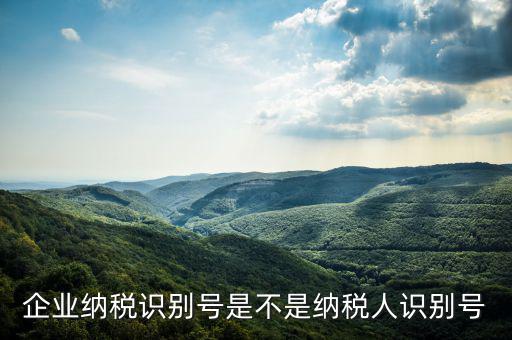 公司納稅識(shí)別號(hào)是什么，納稅人識(shí)別號(hào)是什么