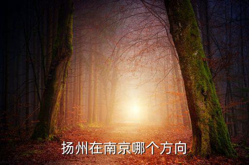 揚(yáng)州在南京哪個方向