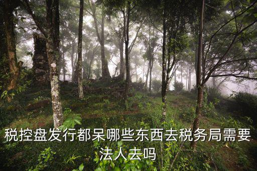 辦理稅控盤去什么地方，稅控盤發(fā)行都呆哪些東西去稅務(wù)局需要法人去嗎