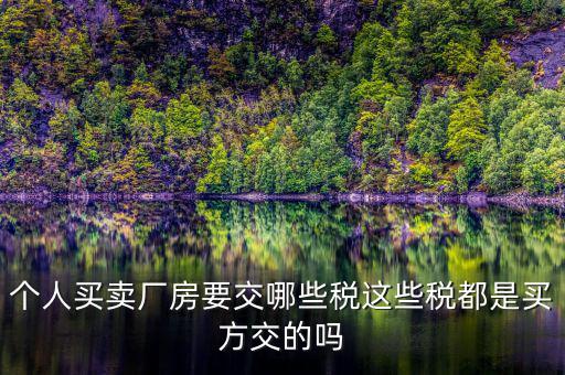 個(gè)人買(mǎi)賣(mài)廠(chǎng)房要交哪些稅這些稅都是買(mǎi)方交的嗎