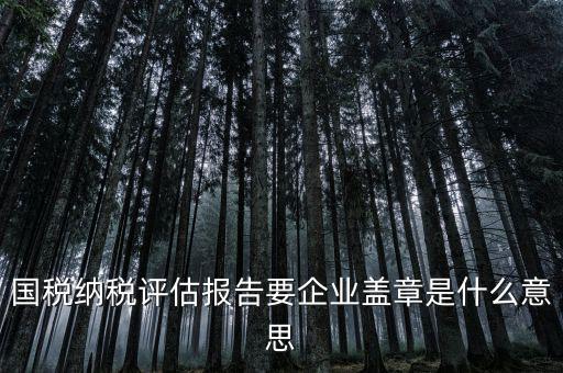 稅務(wù)國別報(bào)告是什么意思，國稅納稅評(píng)估報(bào)告要企業(yè)蓋章是什么意思