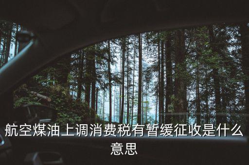 暫緩征收消費稅是什么，航空煤油上調(diào)消費稅有暫緩征收是什么意思
