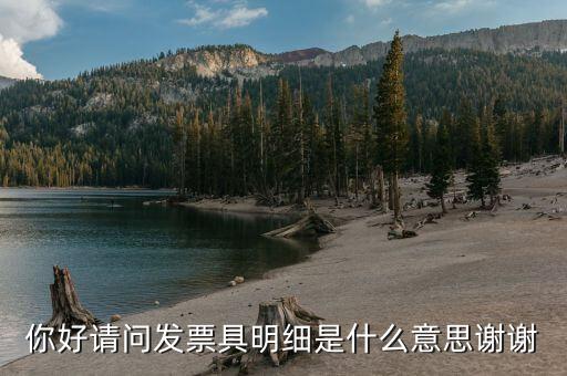 什么是個(gè)稅明細(xì)，個(gè)稅是什么是干嘛的詳細(xì)點(diǎn)哈