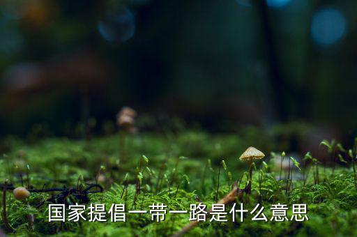 國(guó)稅一帶一路什么意思，一帶一路指什么意思