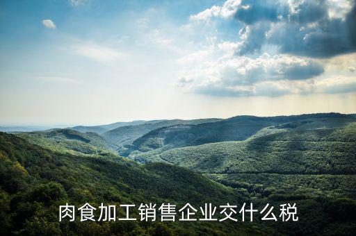 賣肉類交什么地稅，批發(fā)肉類的稅是多少