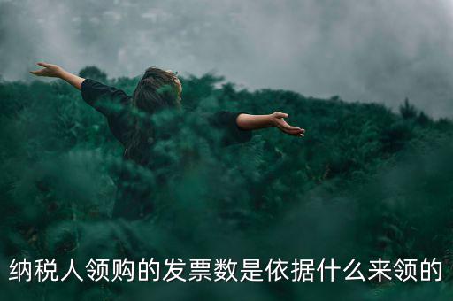 為什么領票人是納稅人，發(fā)票領購簿上的章子與納稅人名稱不一樣是怎么回事