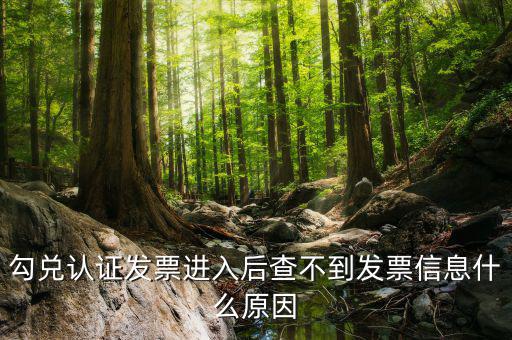 發(fā)票查詢?yōu)槭裁床椴坏叫畔?，發(fā)票開(kāi)了稅務(wù)局上查不到信息是怎么回事
