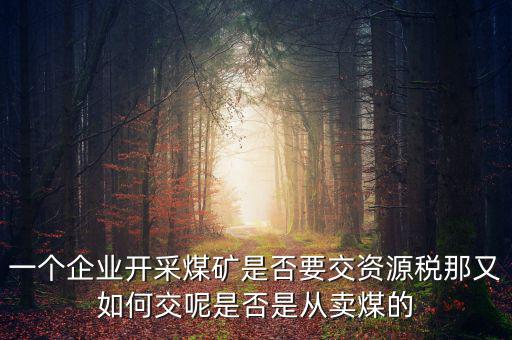 煤在什么環(huán)節(jié)征資源稅，煤礦資源稅稅率