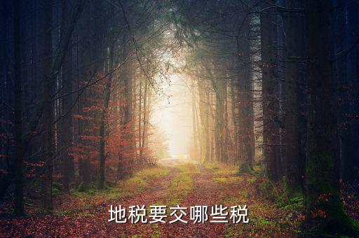 地稅需要交什么稅，地稅應交哪些稅