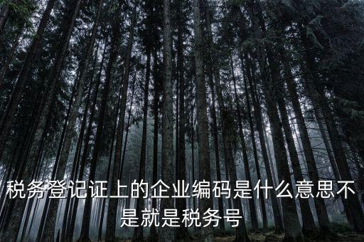 稅務(wù)編碼是什么意思，稅務(wù)登記證上的企業(yè)編碼是什么意思不是就是稅務(wù)號(hào)