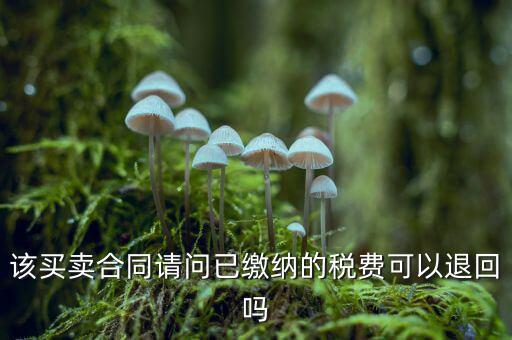 該買(mǎi)賣(mài)合同請(qǐng)問(wèn)已繳納的稅費(fèi)可以退回嗎
