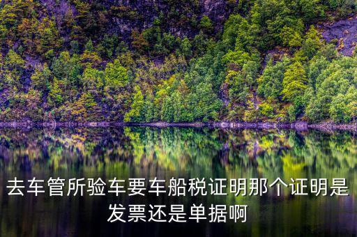 車船納稅證明是什么，車船稅證明是什么是購置稅嗎