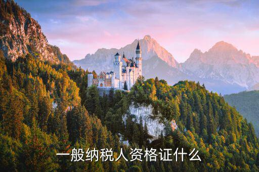 什么是一般納稅人證明，一般納稅人資格證什么