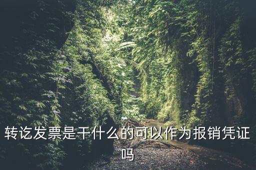 什么叫轉發(fā)票，我開了一張農村合作信用社的轉賬發(fā)票請問什么是對應發(fā)票