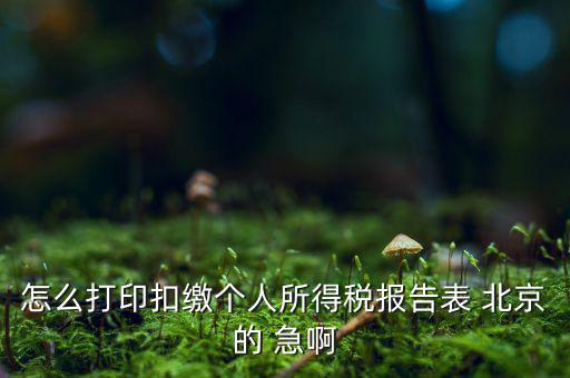 北京打印個稅需要什么資料，怎么打印扣繳個人所得稅報告表 北京的 急啊