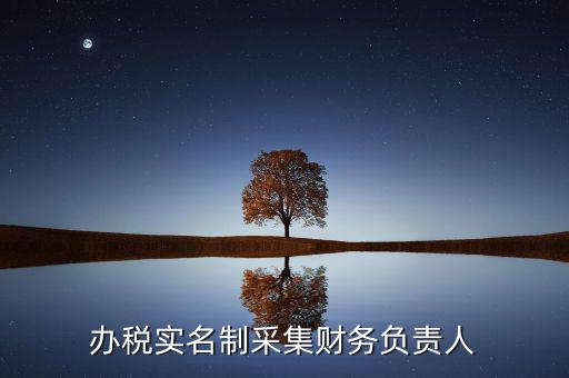 什么是實(shí)名辦稅，辦稅實(shí)名制采集財(cái)務(wù)負(fù)責(zé)人