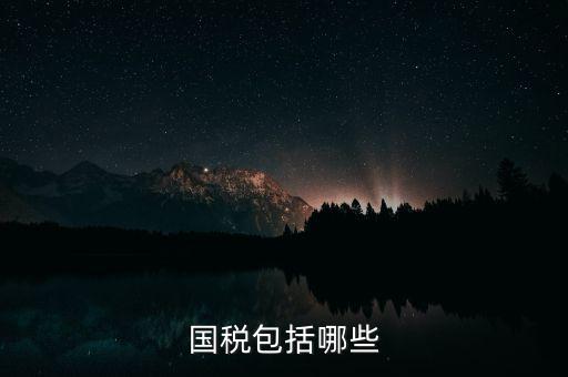 國稅綜合業(yè)務(wù)指什么，國稅包括哪些