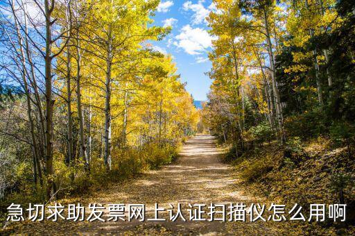 CA登陸可以開(kāi)什么票，京東上什么可以開(kāi)增值稅專(zhuān)用發(fā)票