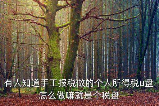 繳個稅用什么盤申報(bào)，個人所得稅報(bào)盤怎么弄