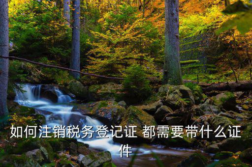 如何注銷(xiāo)稅務(wù)登記證 都需要帶什么證件