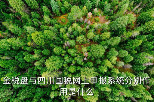 金稅盤的作用是什么，請問現(xiàn)在國稅局換的金稅盤主要的作用是什么
