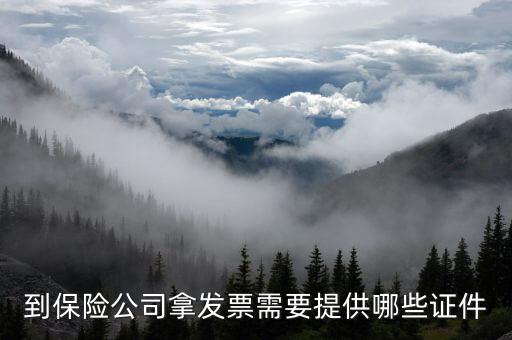 保險(xiǎn)開(kāi)專(zhuān)票需要什么資料，中國(guó)人壽保險(xiǎn)打發(fā)票要什么手續(xù)