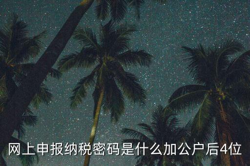 網(wǎng)上如何申報(bào)國稅密碼是什么，國稅第一次網(wǎng)上申報(bào)的登陸密碼是什么
