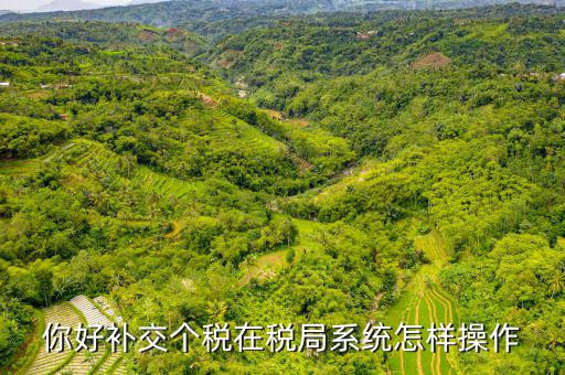 你好補(bǔ)交個稅在稅局系統(tǒng)怎樣操作