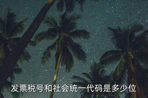 發(fā)票統(tǒng)一社會(huì)信用代碼是什么，現(xiàn)在開發(fā)票要的社會(huì)信用代碼是誰的代碼