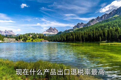 出口什么退稅高，08年哪些產(chǎn)品出口退稅比較高的