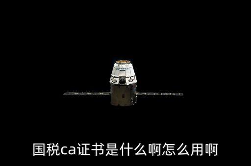 國稅的ca證書是什么意思，CA證書是什么東西包括pfx cert么