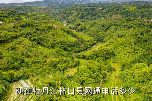 林口縣稅務(wù)局電話號(hào)碼是什么，現(xiàn)在牡丹江林口縣網(wǎng)通電話多少