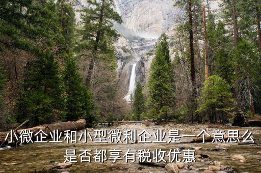 小型微利企業(yè)是什么，小微企業(yè)和小型微利企業(yè)是一個(gè)意思么是否都享有稅收優(yōu)惠