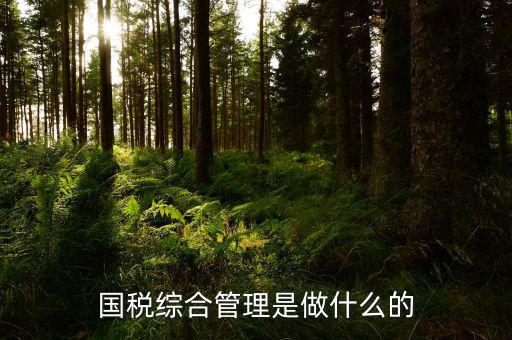 國稅綜合業(yè)務是什么，國稅綜合管理是做什么的