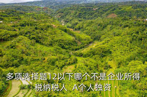 多項(xiàng)選擇題12以下哪個不是企業(yè)所得稅納稅人  A個人獨(dú)資