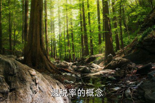 出口退稅率是什么意思，出口退稅率是什么意思啊什么樣的人要交呢