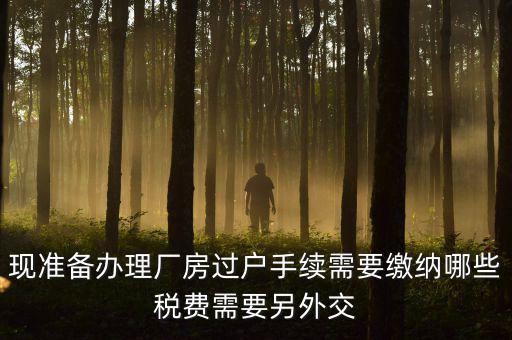 現(xiàn)準(zhǔn)備辦理廠(chǎng)房過(guò)戶(hù)手續(xù)需要繳納哪些稅費(fèi)需要另外交